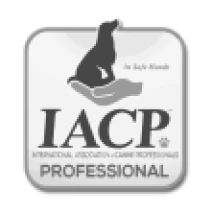 IACP Professional member