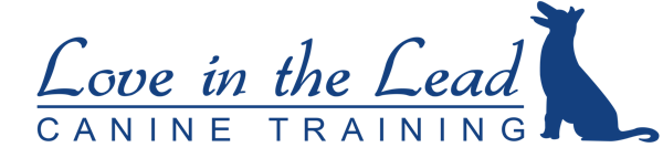 Love in the Lead Canine Training